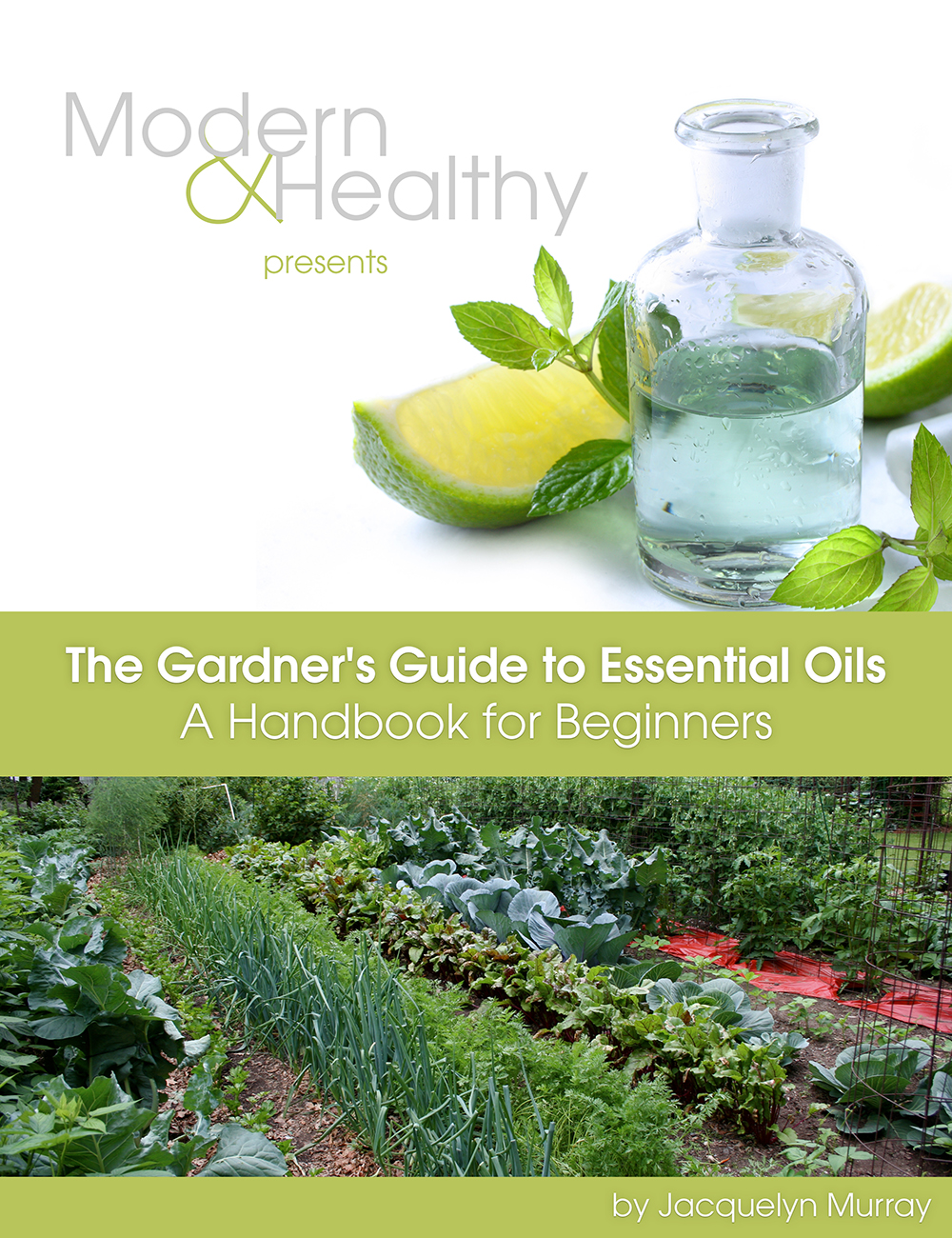 Modern & Healthy eBook