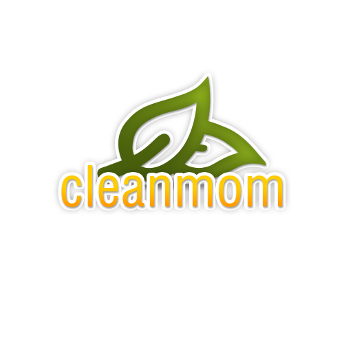 The Clean Mom